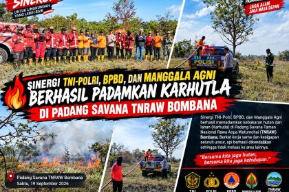 Daerah